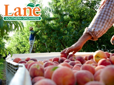 produce-brand-laneorchards